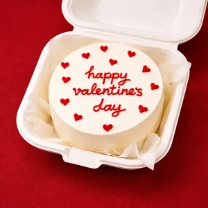Happy Valentine’s Day Mini Bento Cake
