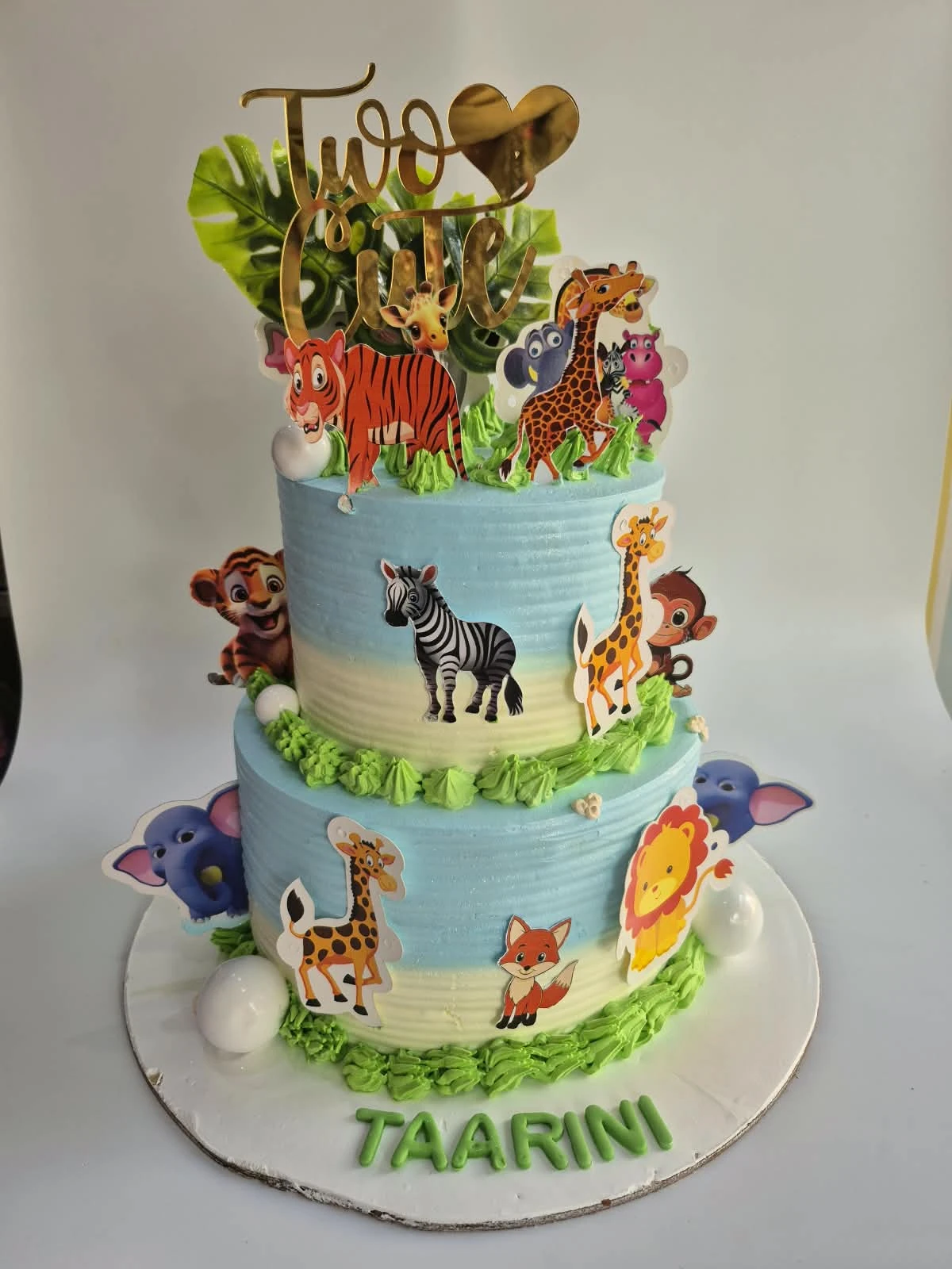 Jungle Theme Cake – Taarini - Old School Truffle